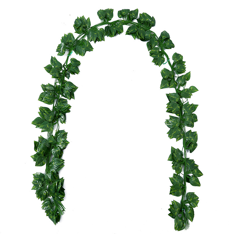 2:Green dill (a pack of 12pcs)