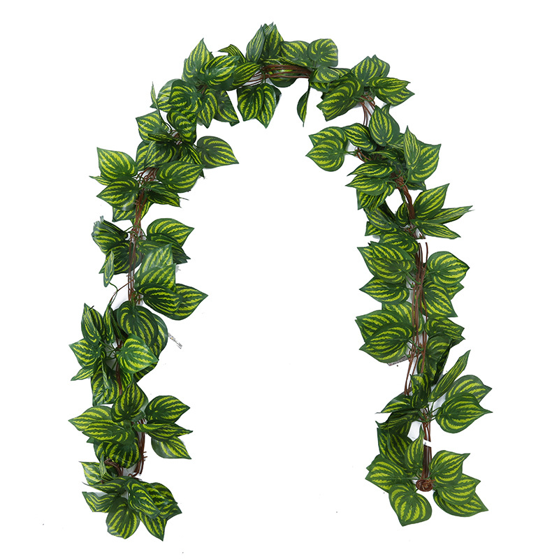 5:Three-dimensional flower green dill (a pack of 5pcs)