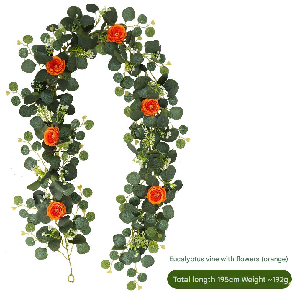 4:72 Eucalyptus Rattan Orange