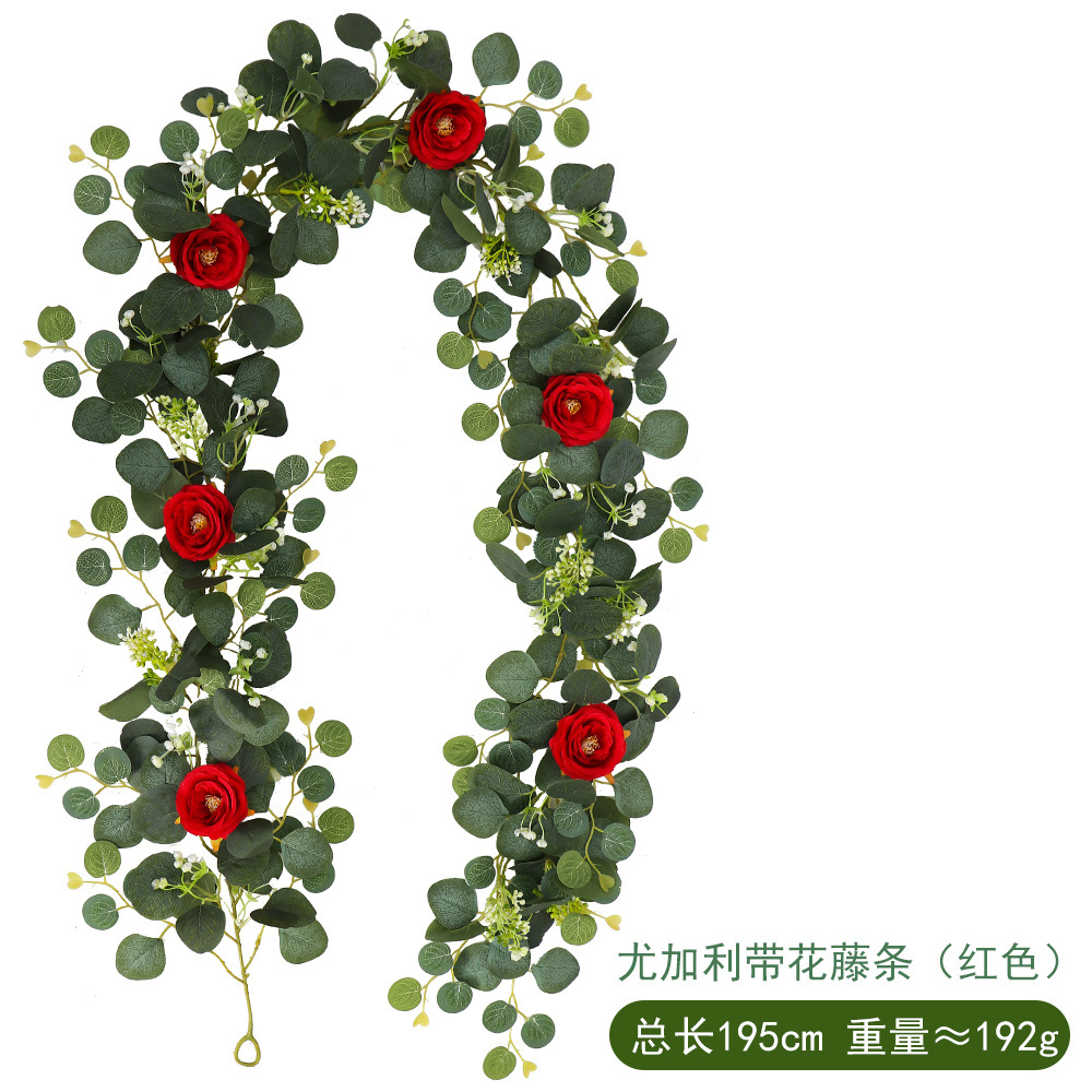 5:72 Eucalyptus Rattan Red