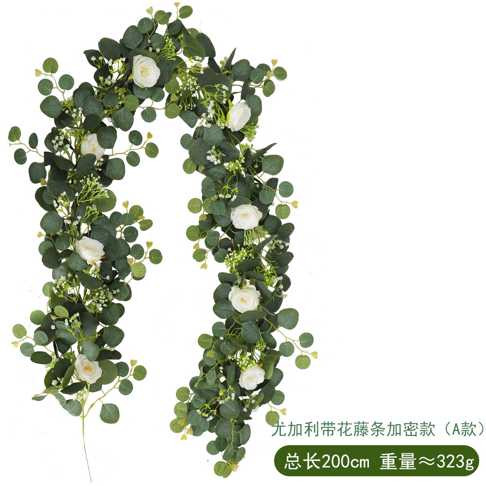 6:148 head Eucalyptus rattan encryption A white