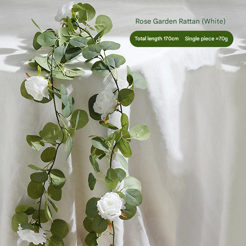 5:rose garden rattan white