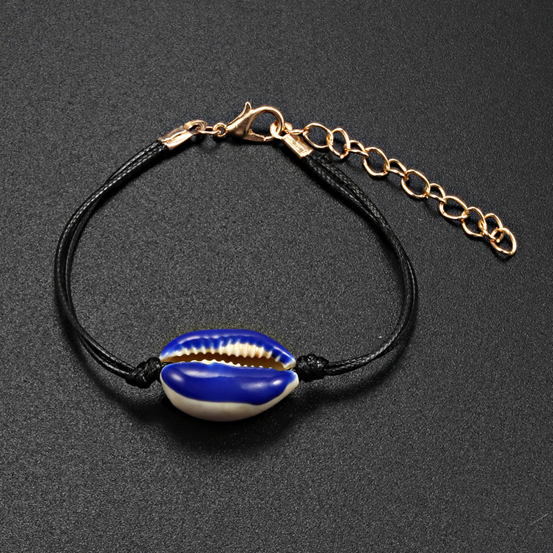 14:White shell dark blue