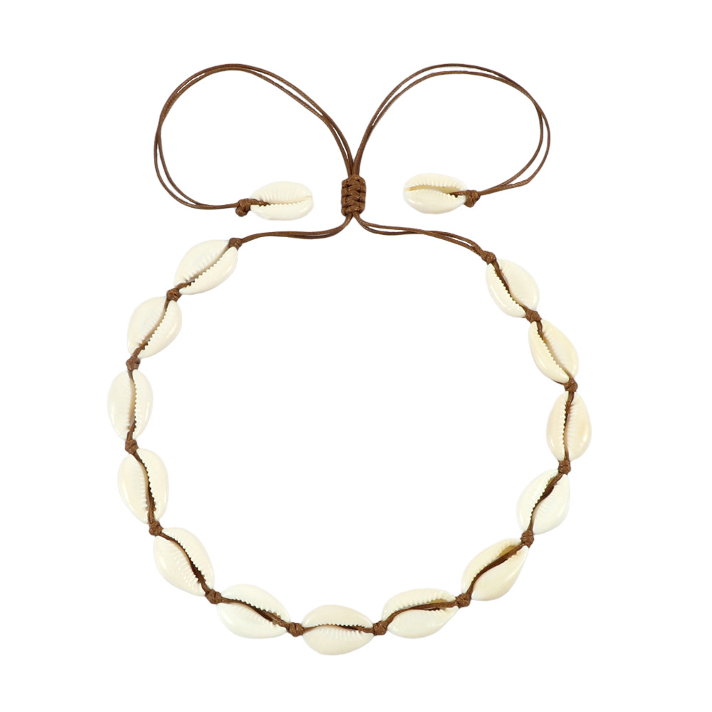 Extension-Brown Line