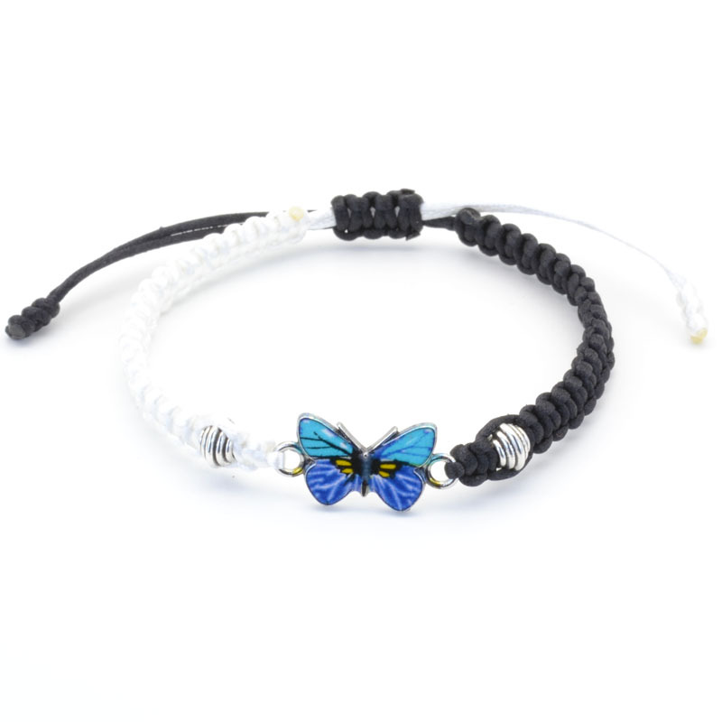 8:Black and white two-color blue butterfly