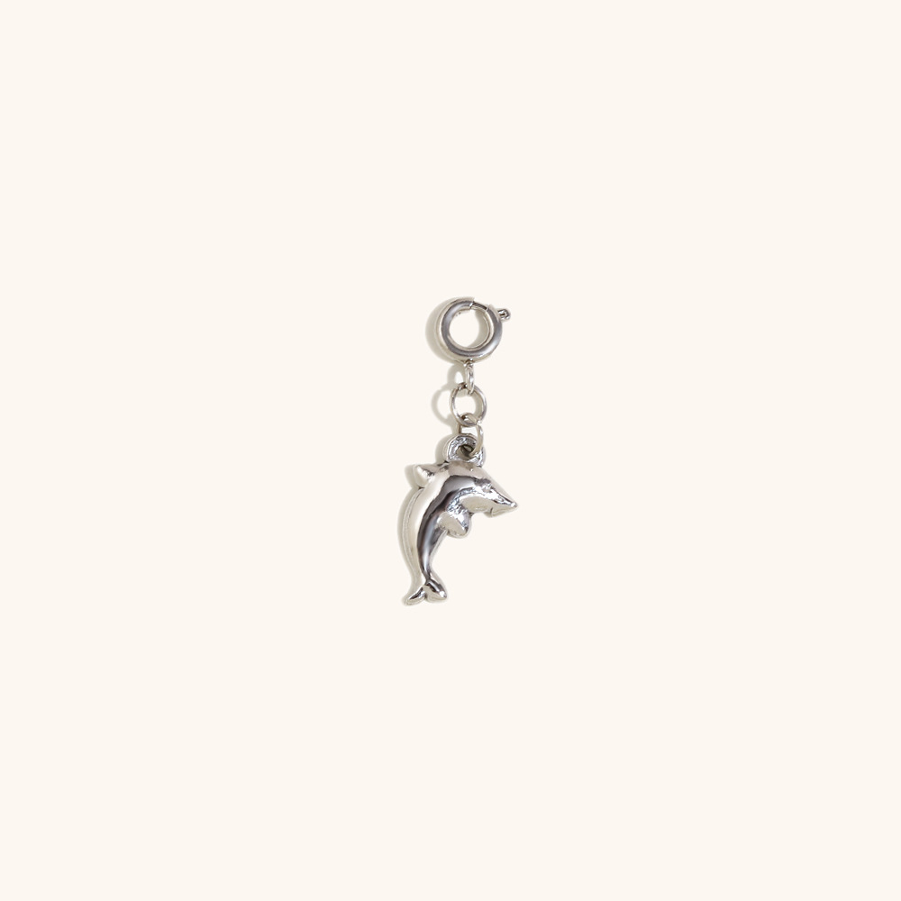 Dolphin pendant-steel color