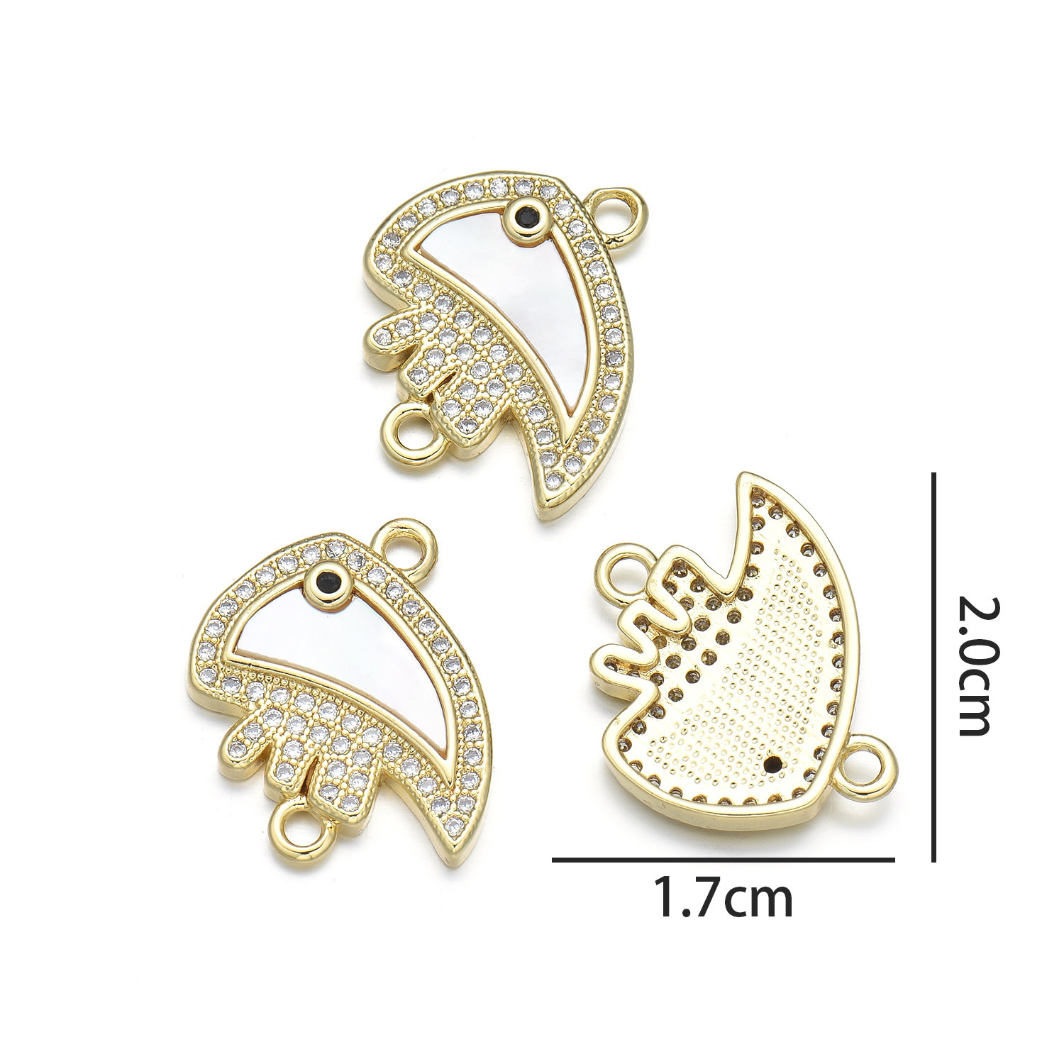 4:Tropical fish hand (natural shell)