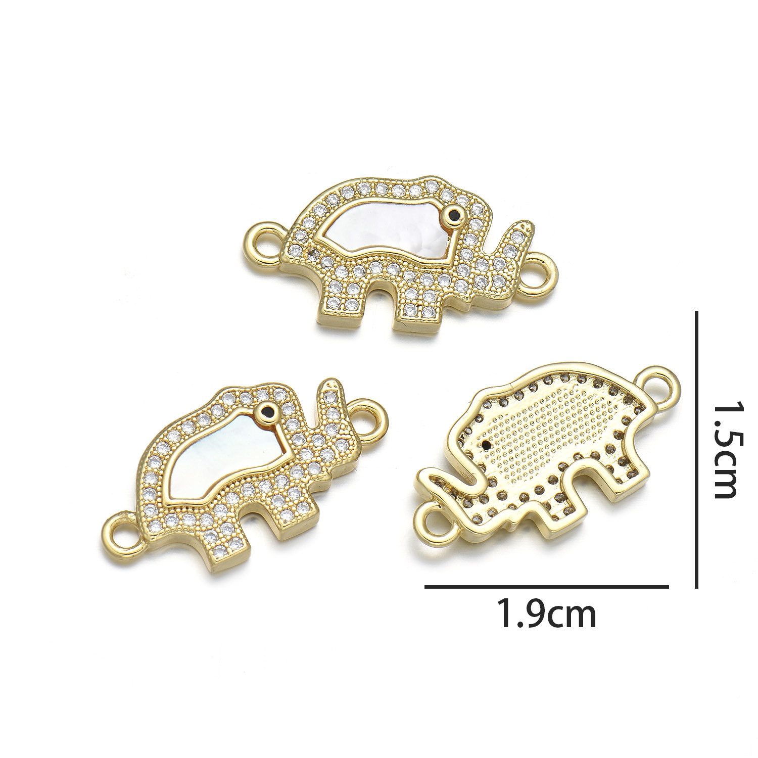 8:Elephant hand (natural shell)