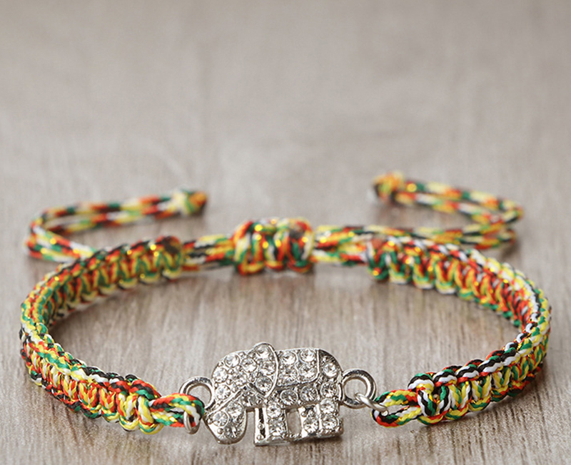 12:Colorful little elephant