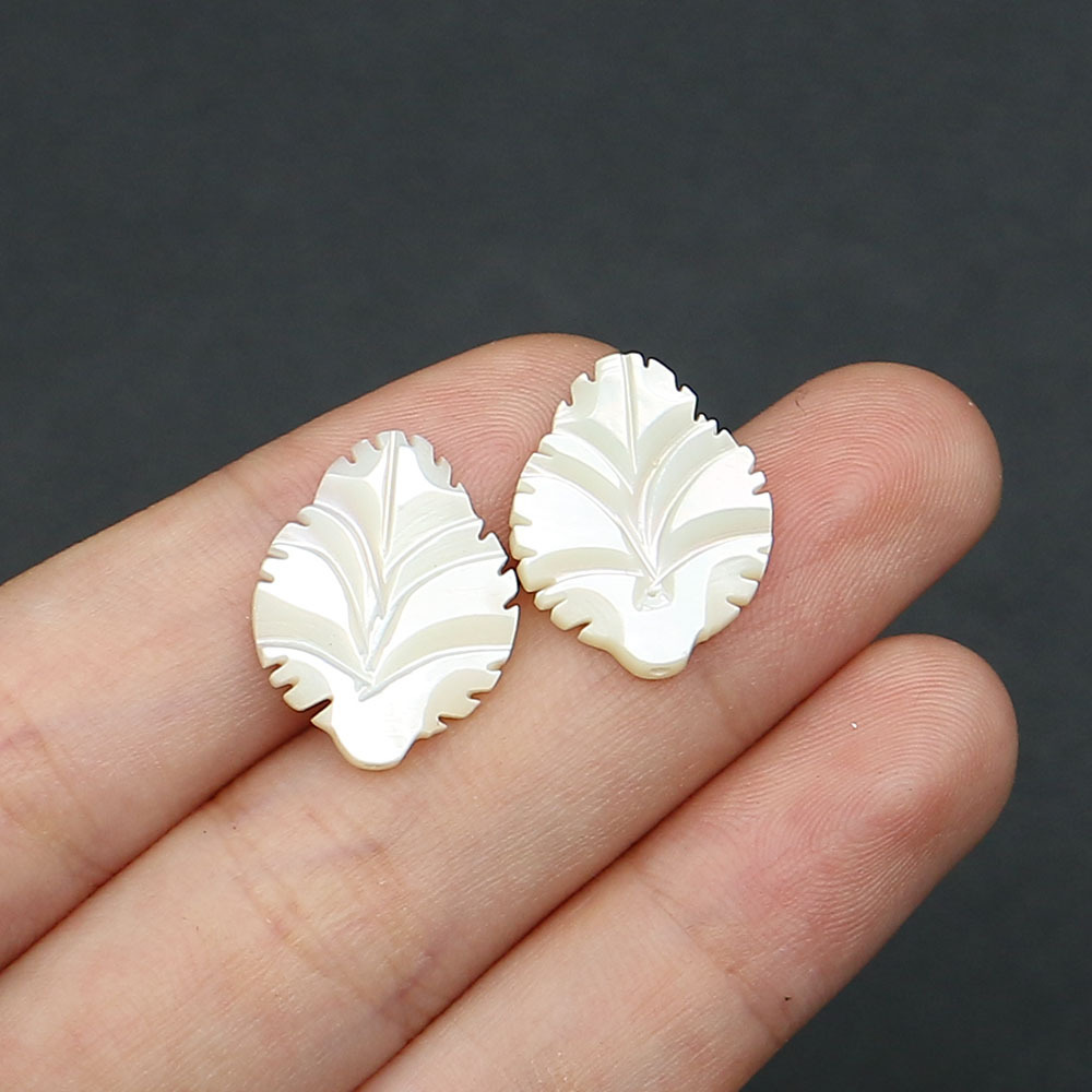 2:White Butterfly shell