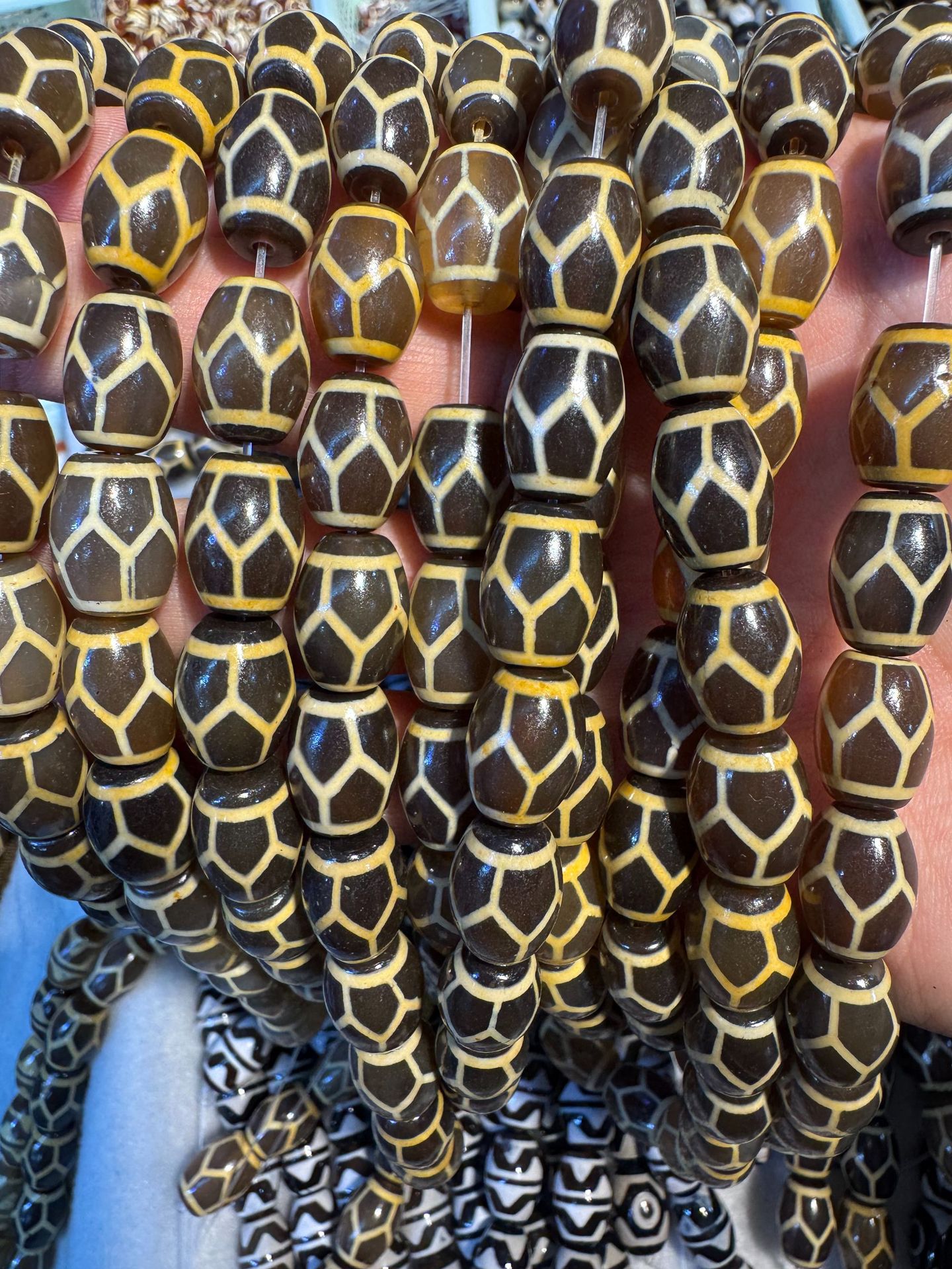 6:Coated tooth yellow tortoise shell