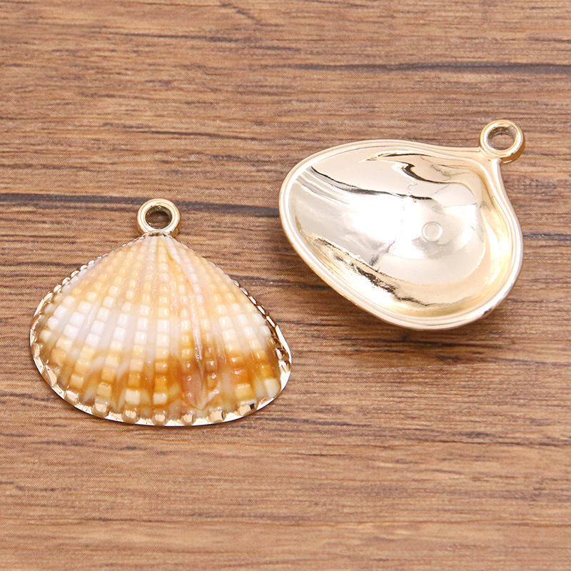 2:Shell No. 1 measures 26X27mm