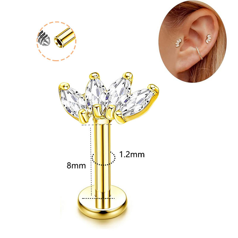 4:G23 titanium 8mm gold one