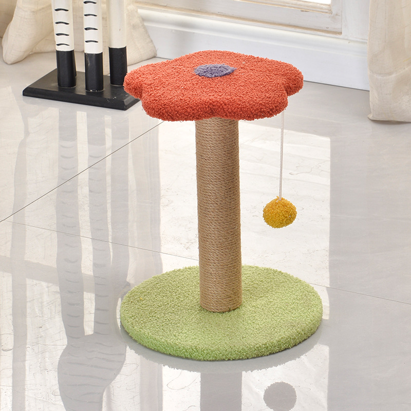 Disc   orange flower