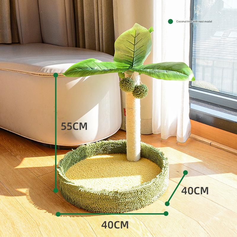 Coconut tree with nest