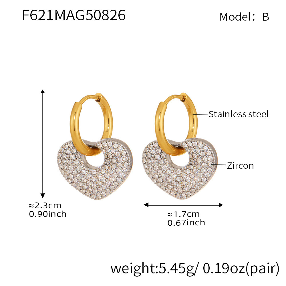 F621- Stainless steel earrings