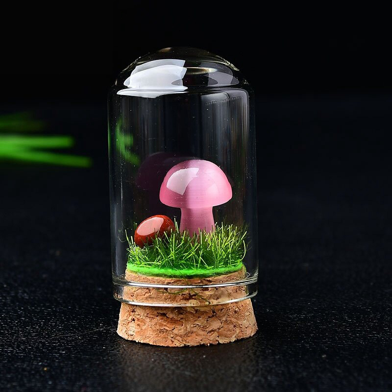 6:Pink cat eye mushroom with bottle