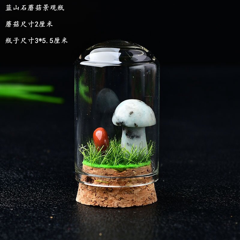 18:Blue mountain stone mushroom with bottle