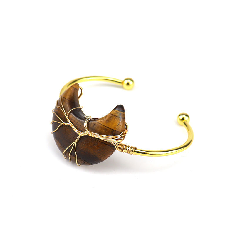 tiger eye Tigerauge