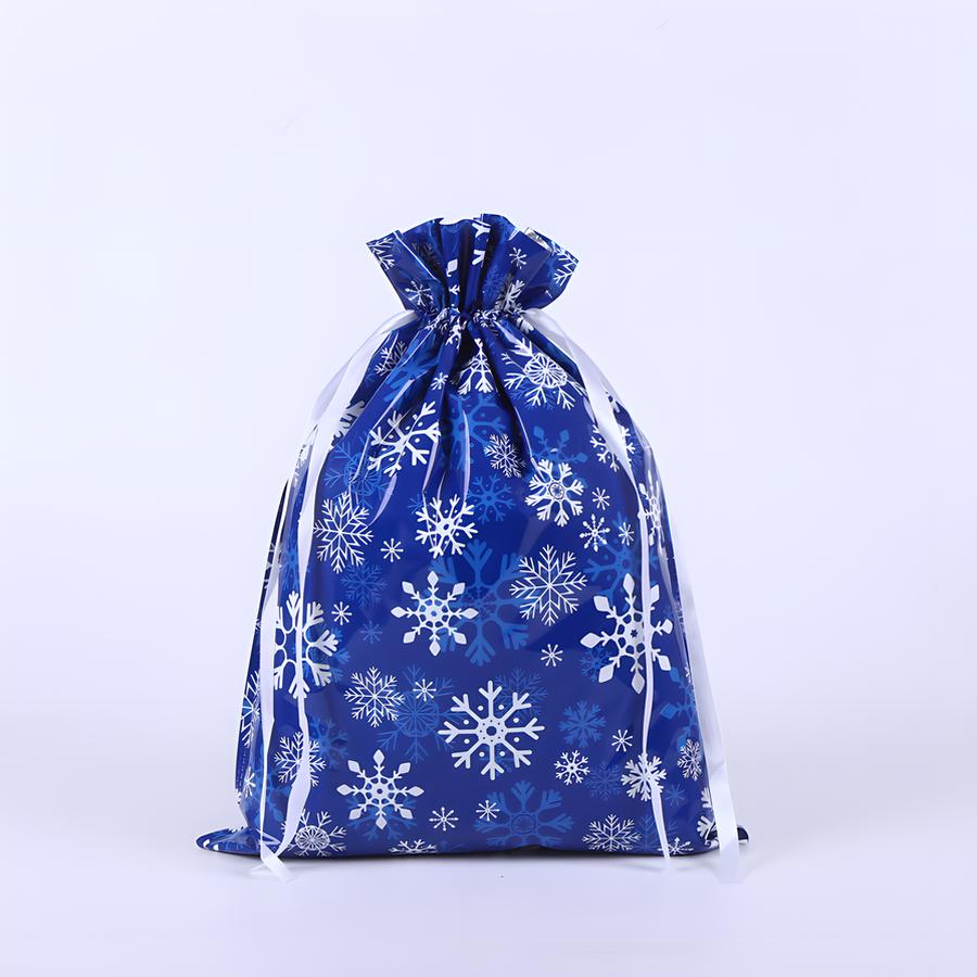 51*39 blue snowflake