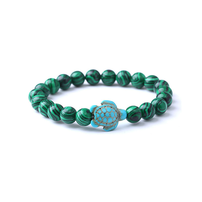 5:Malachite Turtle