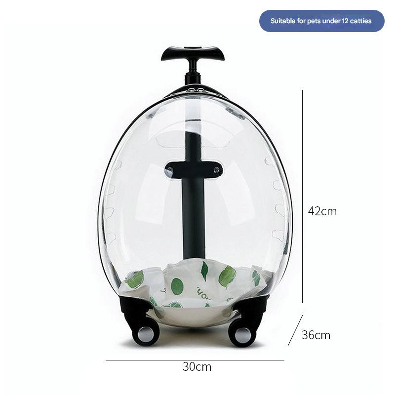 Eggshell t-bar-black