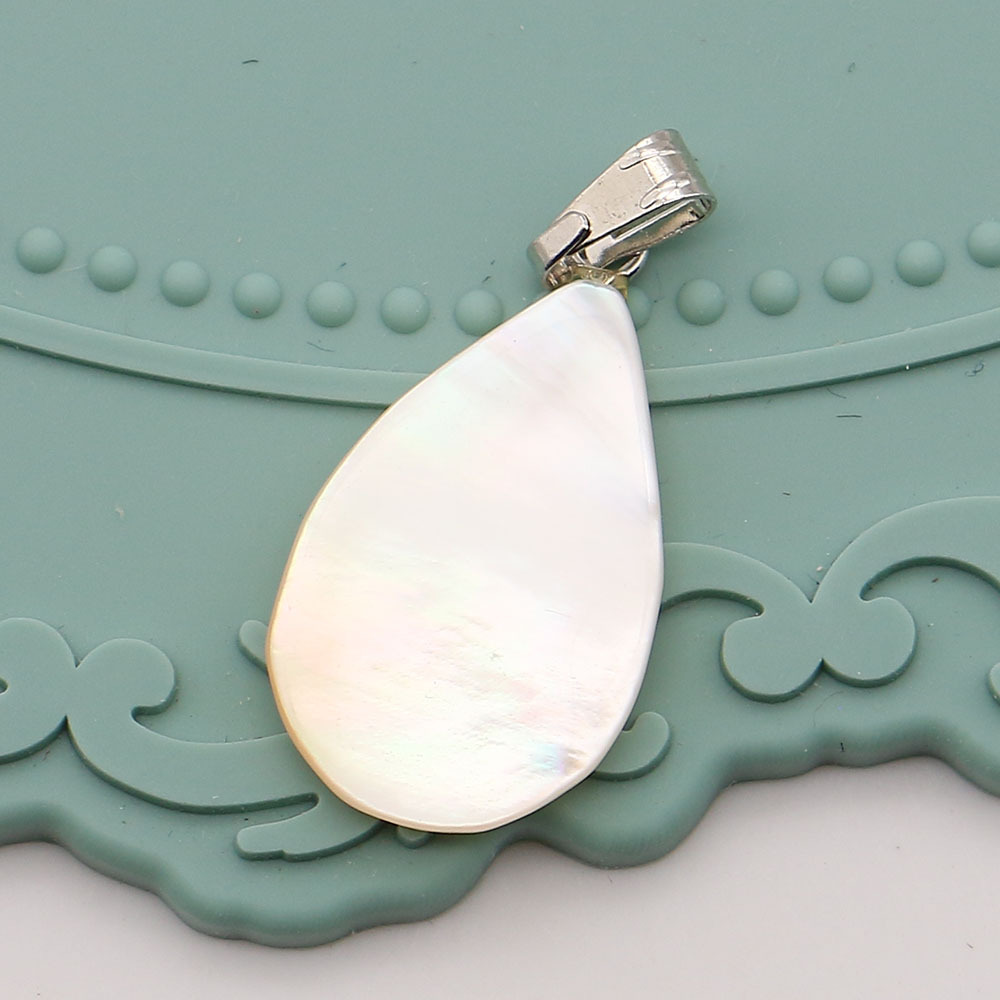 1:Λευκή κέλυφος λουλουδιών