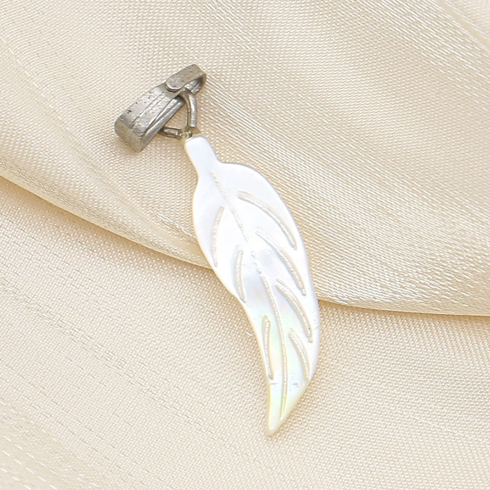 1:White Butterfly shell