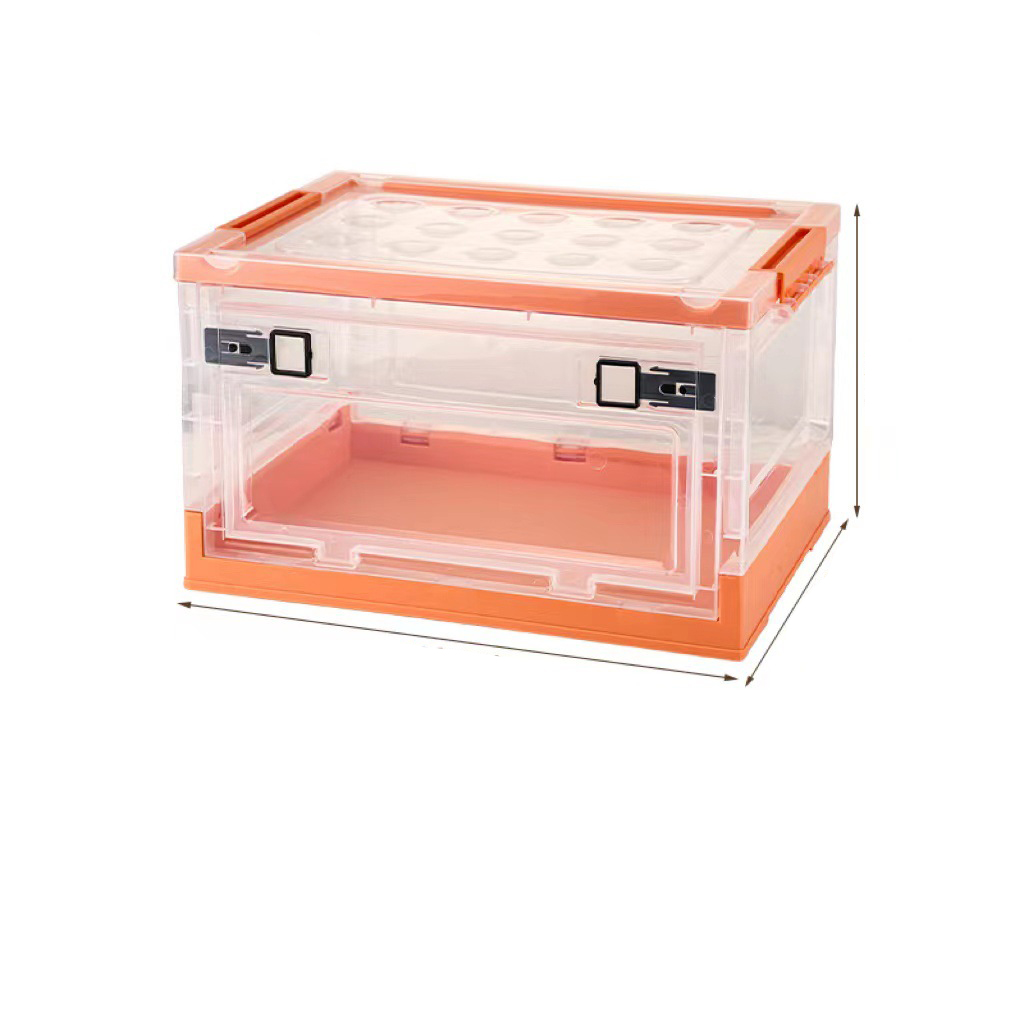 Transparent-Vitality Orange