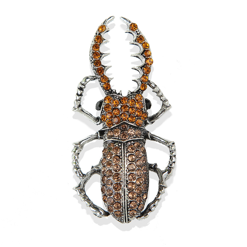 coffee color couleur de café