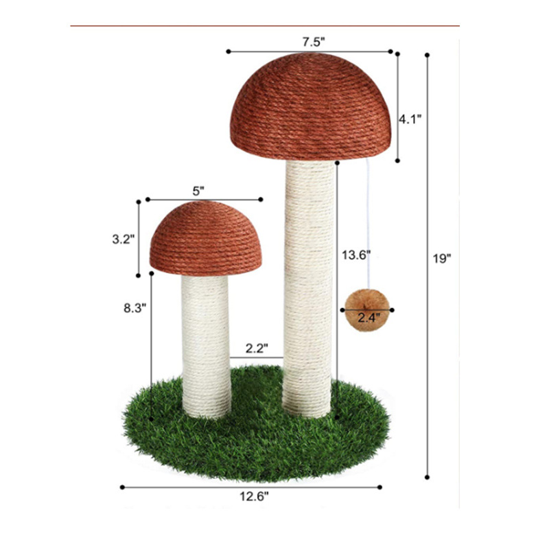 Coffee Mushroom Highlight with Ball