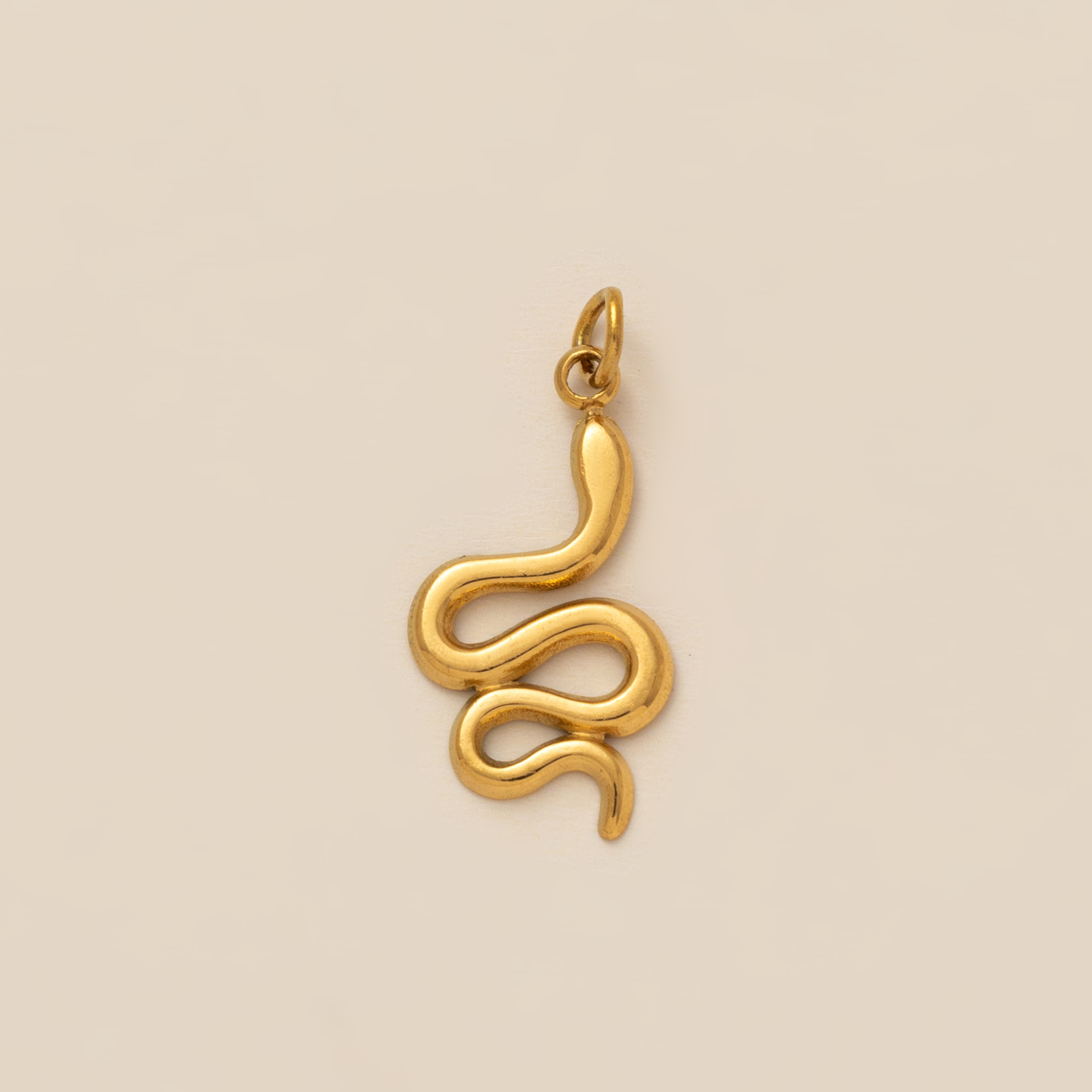 6:Snake pendant