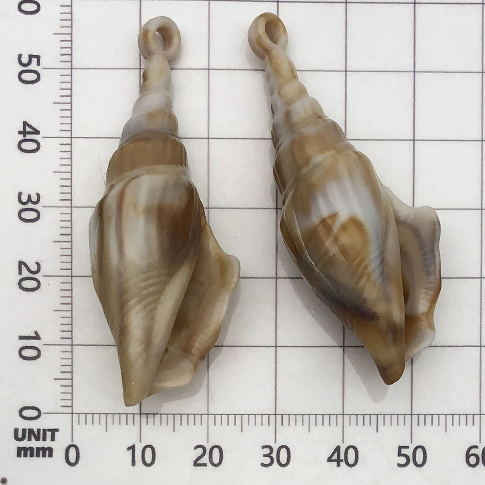12:1 beige (acrylic conch) 21*57mm-5.3g-17293