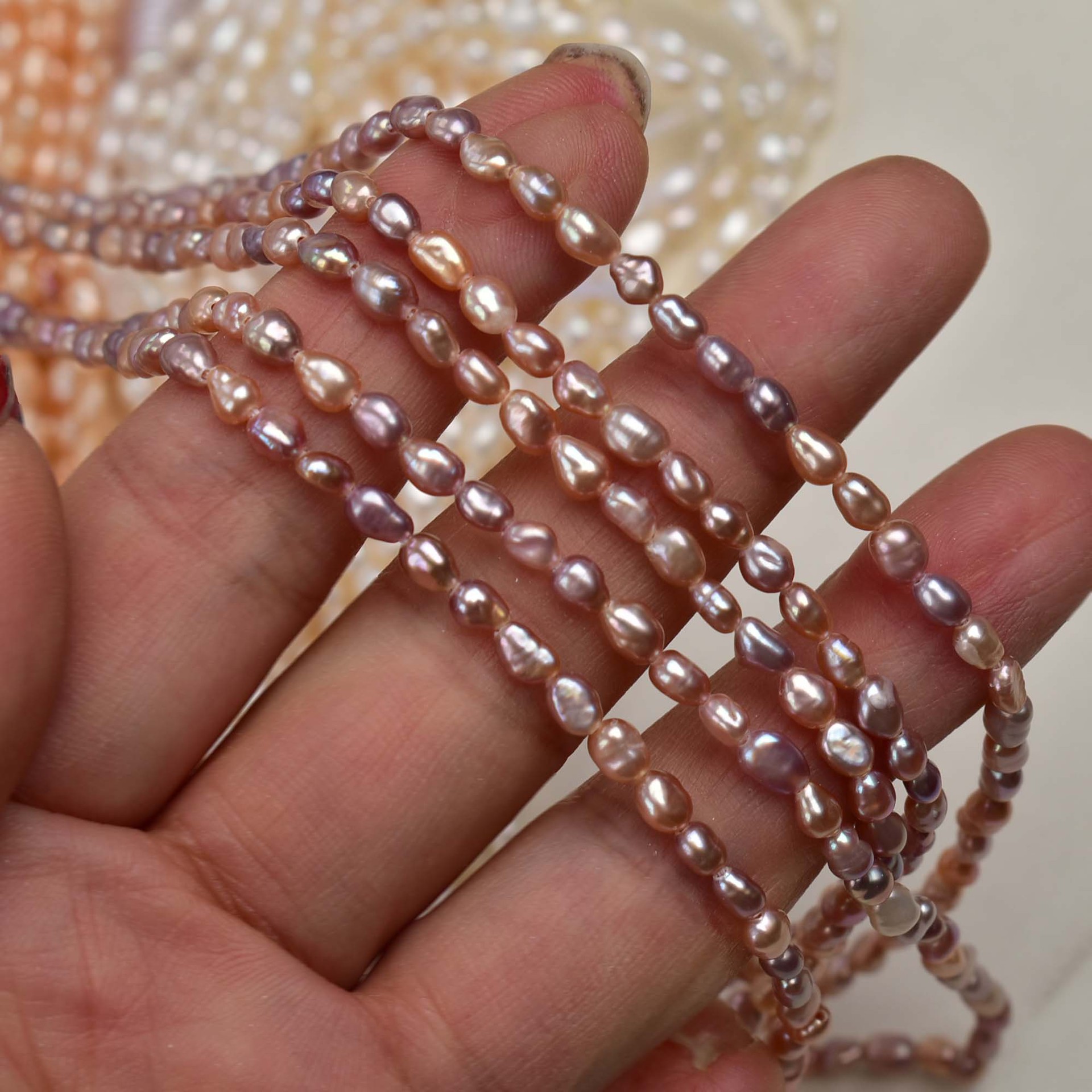 3:Natural purple (with a bit of variegation)