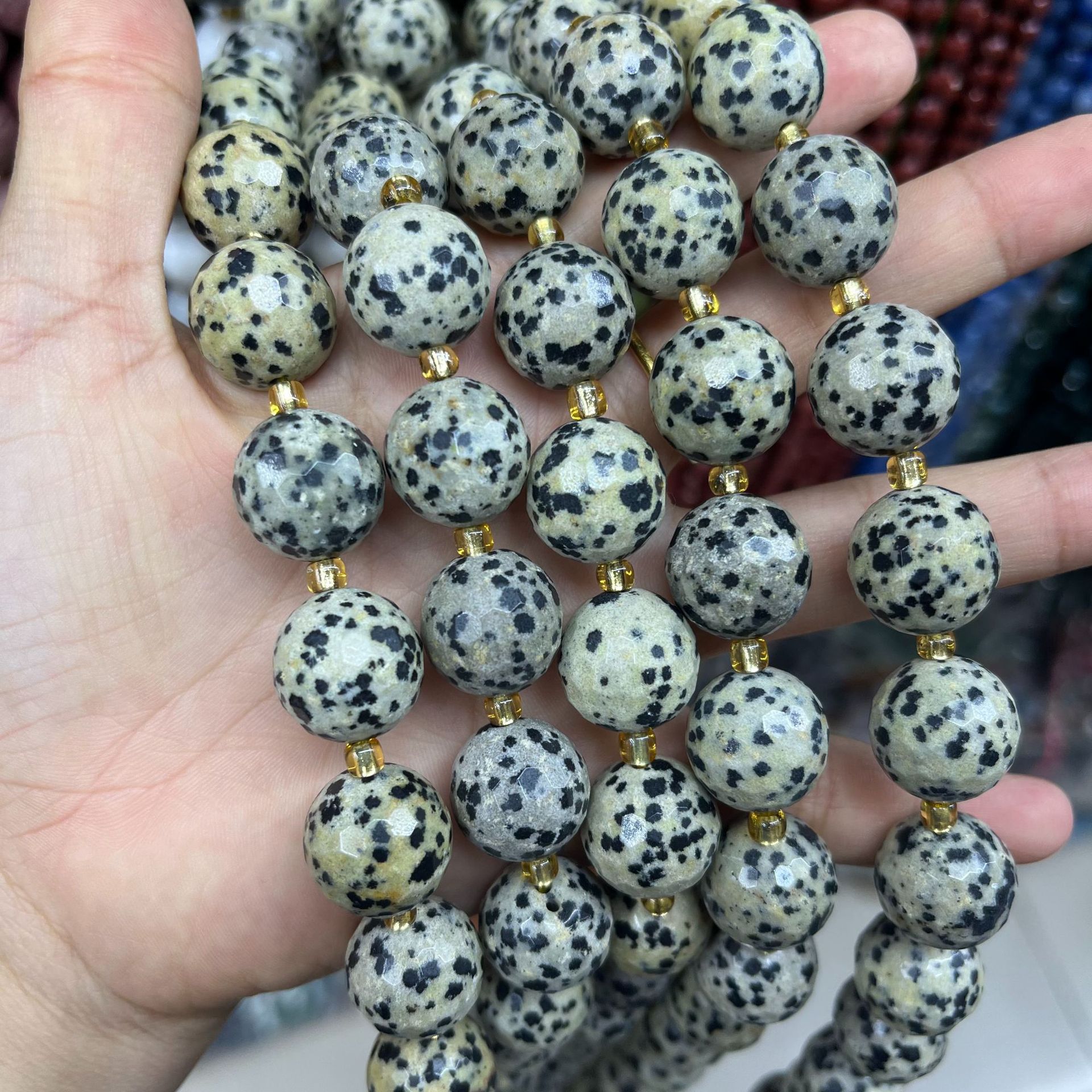 22 dalmatian