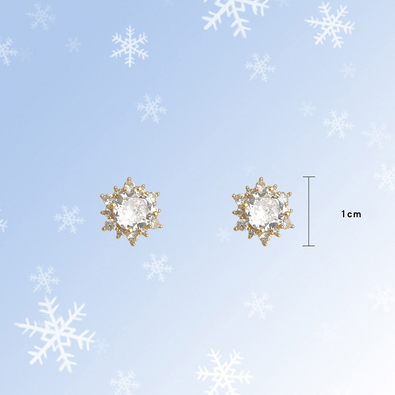 5:[the ward of frost snow] silver needle