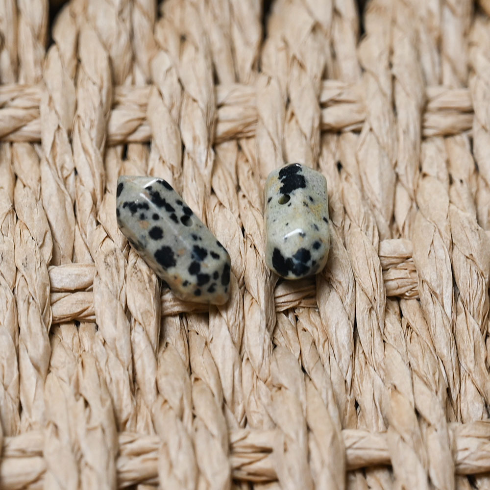 6 dalmatian dalmatian