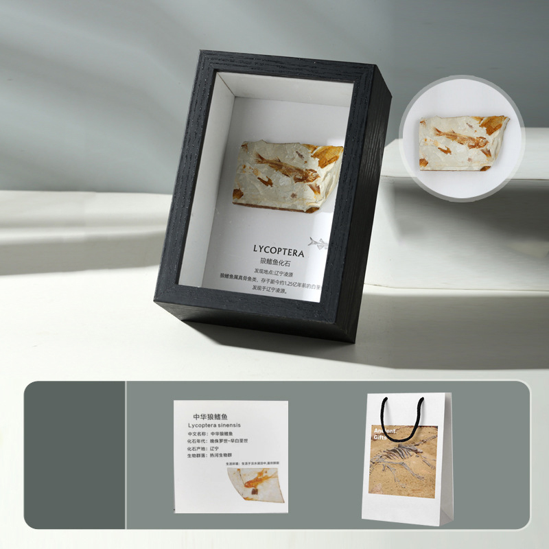 Wolf fin fish fossil table