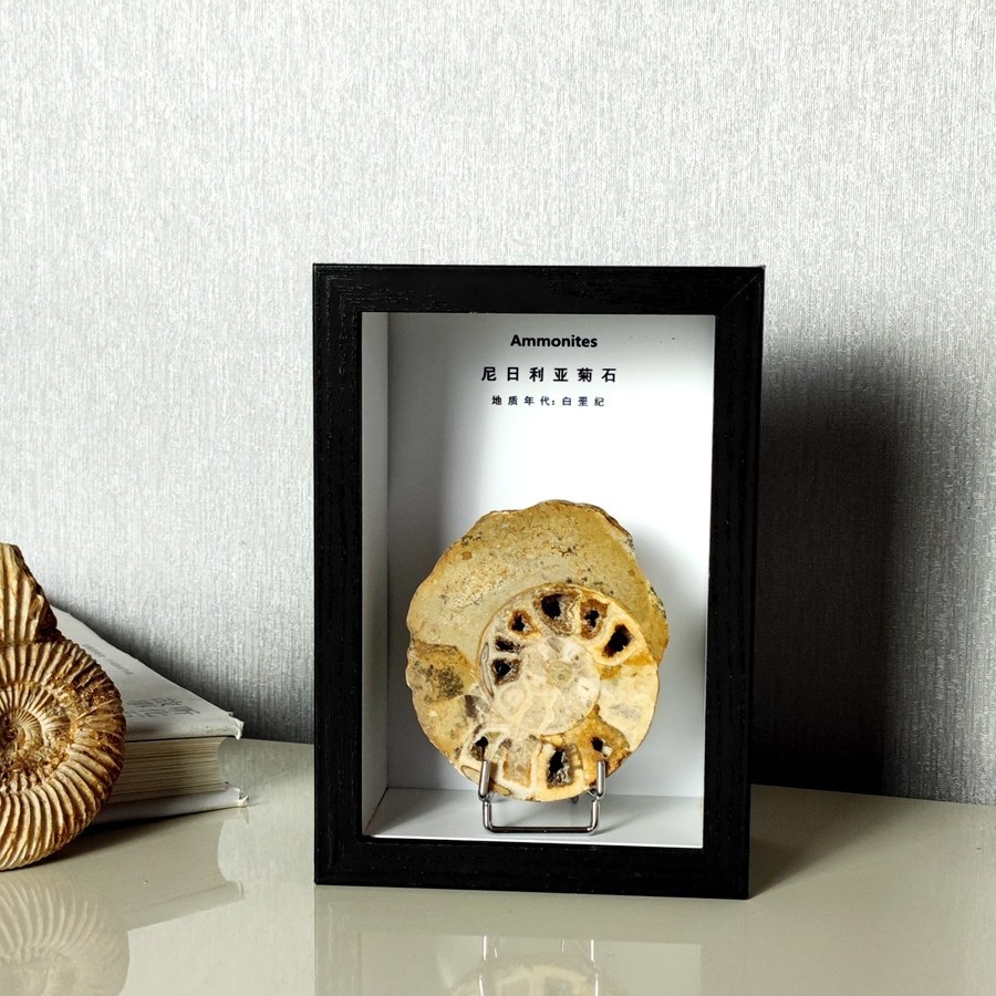 Nigeria's Chrysanthemum Ornaments