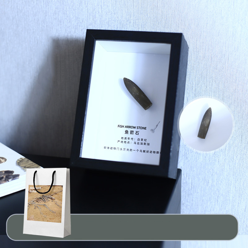 Fish swordstone fossil table