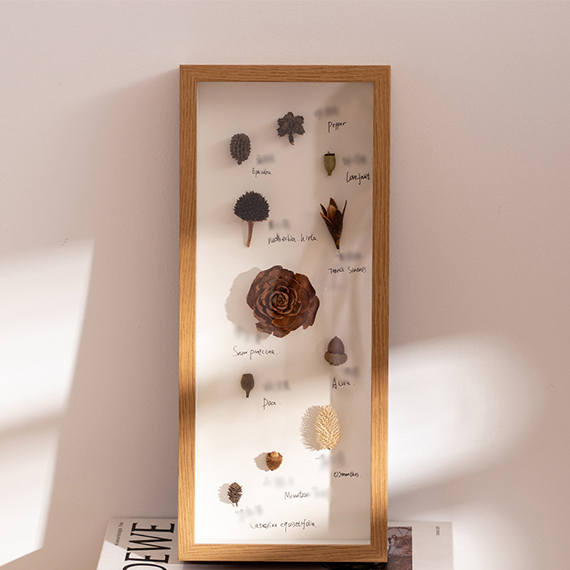 Hollow 3cm wood color (excluding specimens)