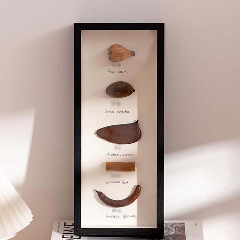 Hollow 3cm black (excluding specimen)