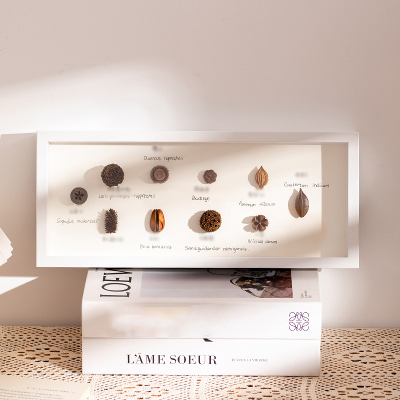 Hollow 5cm white (excluding specimen)