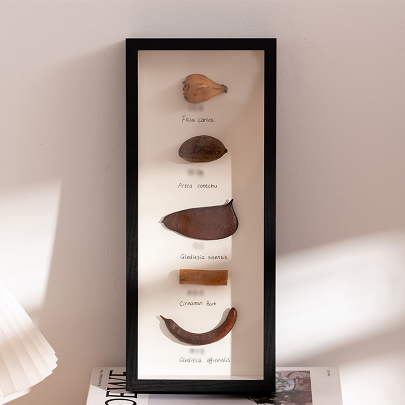 Hollow 5cm black (excluding specimen)