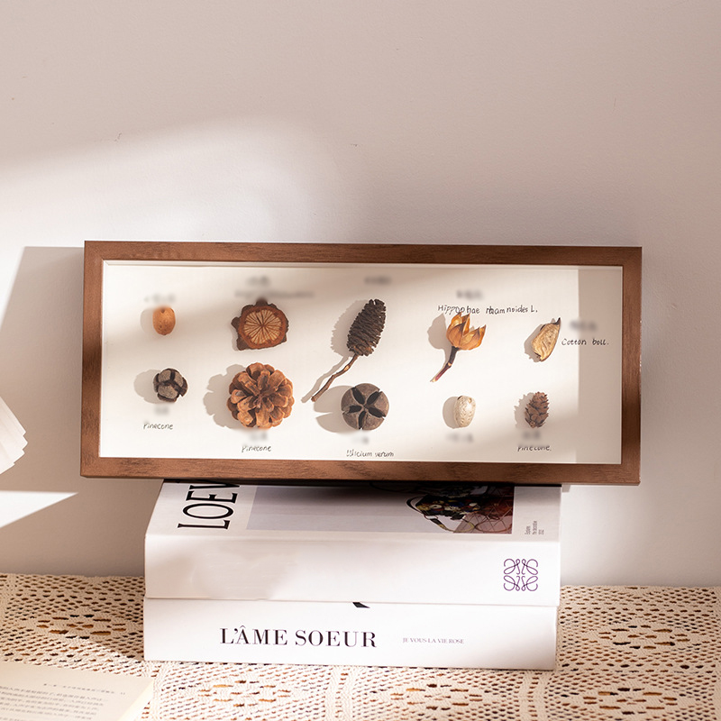 Hollow 5cm brown (excluding specimen)