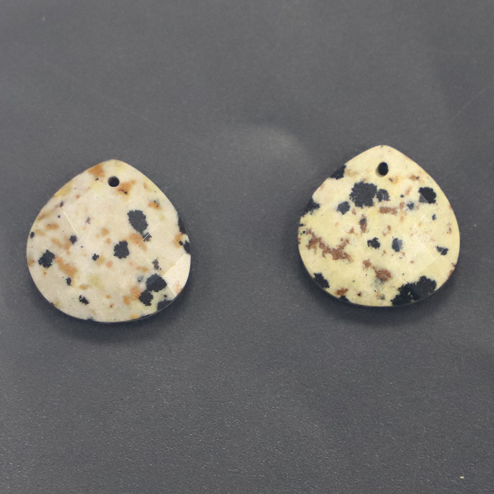 7 dalmatian Dalmatiner