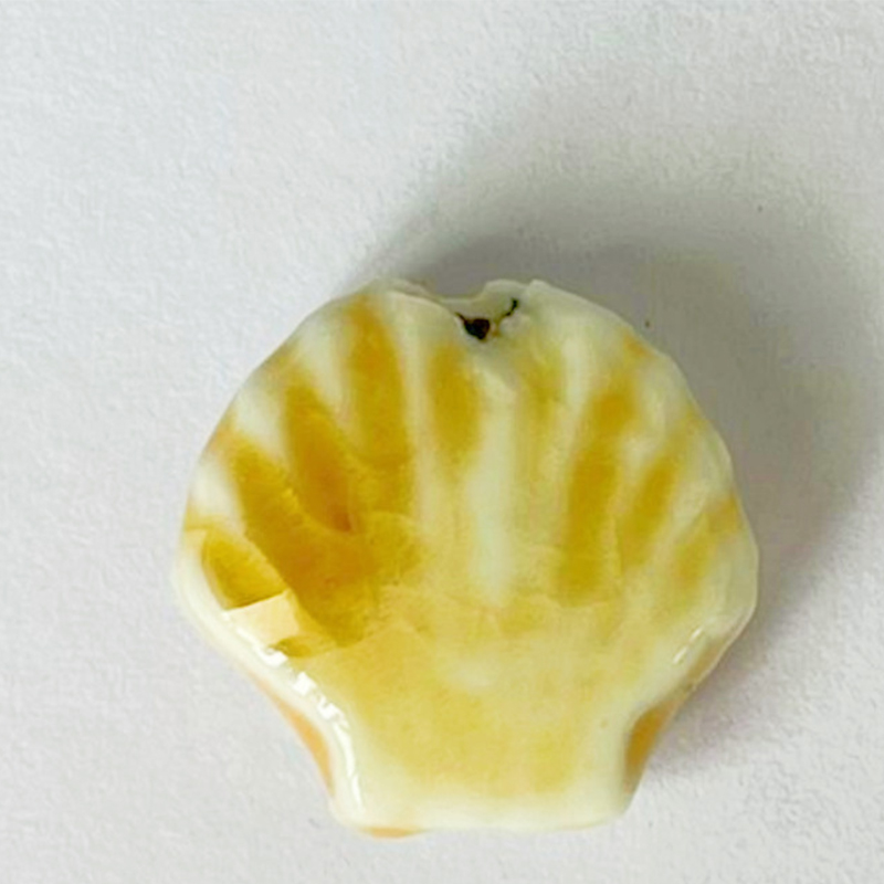 3:Seashell 14x6mm