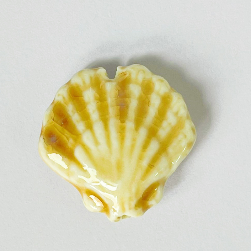 Round shell 28x10mm