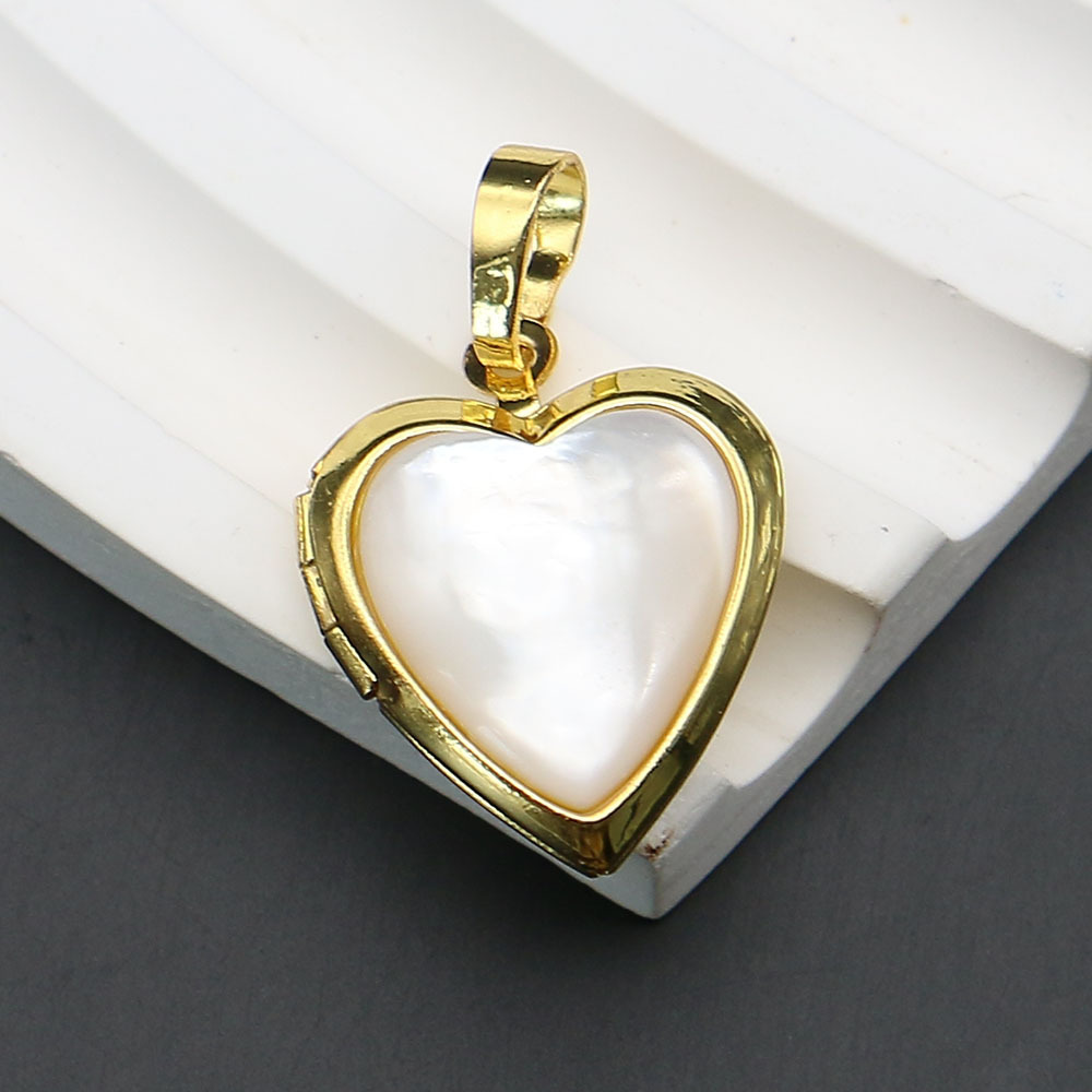 3:Λευκή κέλυφος λουλουδιών