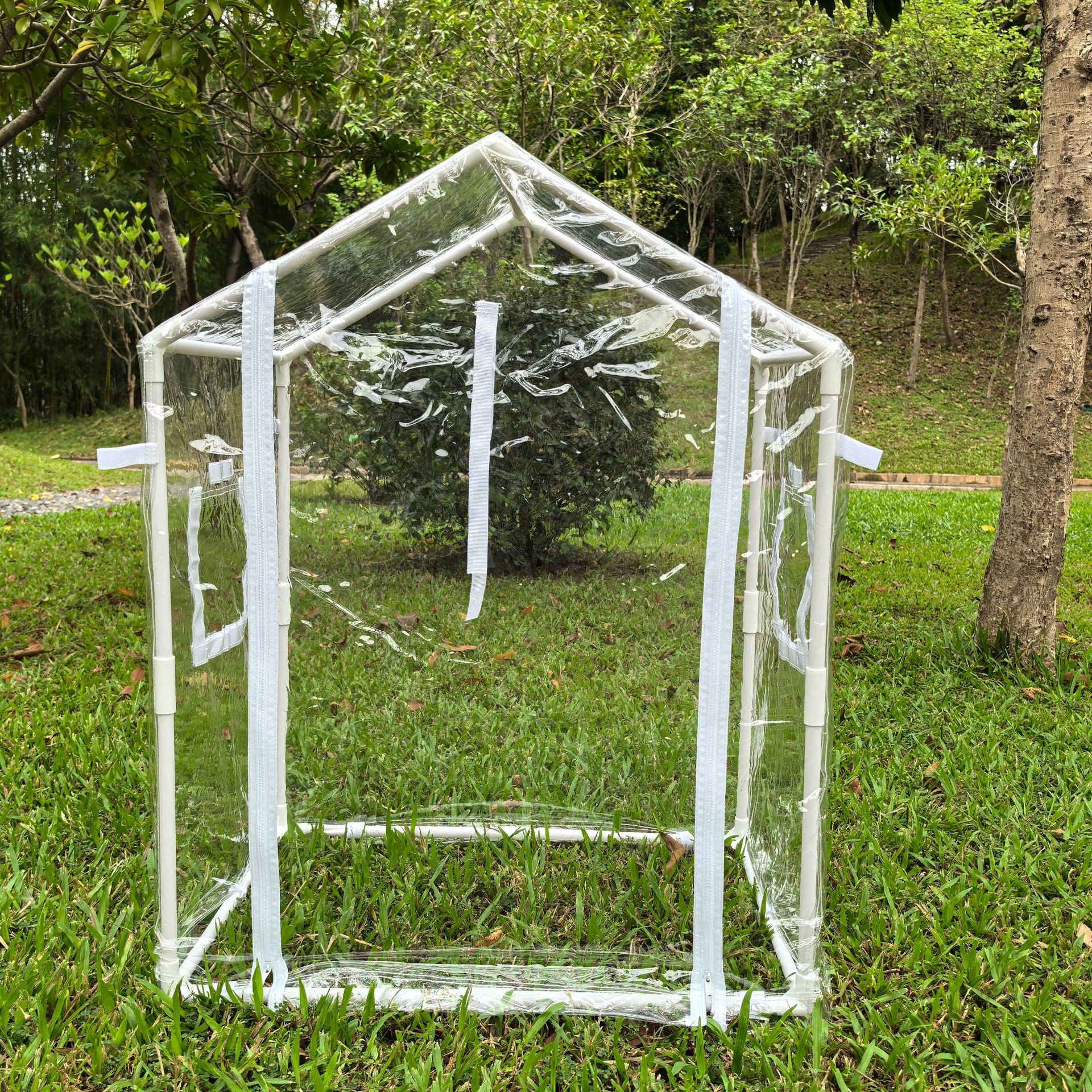 Transparent greenhouse